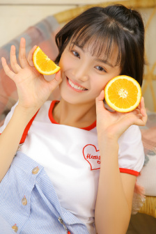 老严有女不愁嫁 电视剧